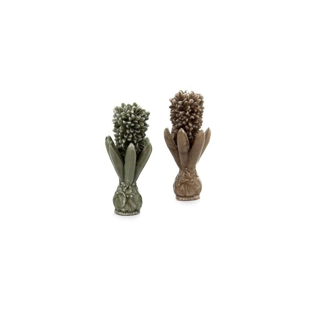 CANDELA GIACINTO 2 ASSORTITI